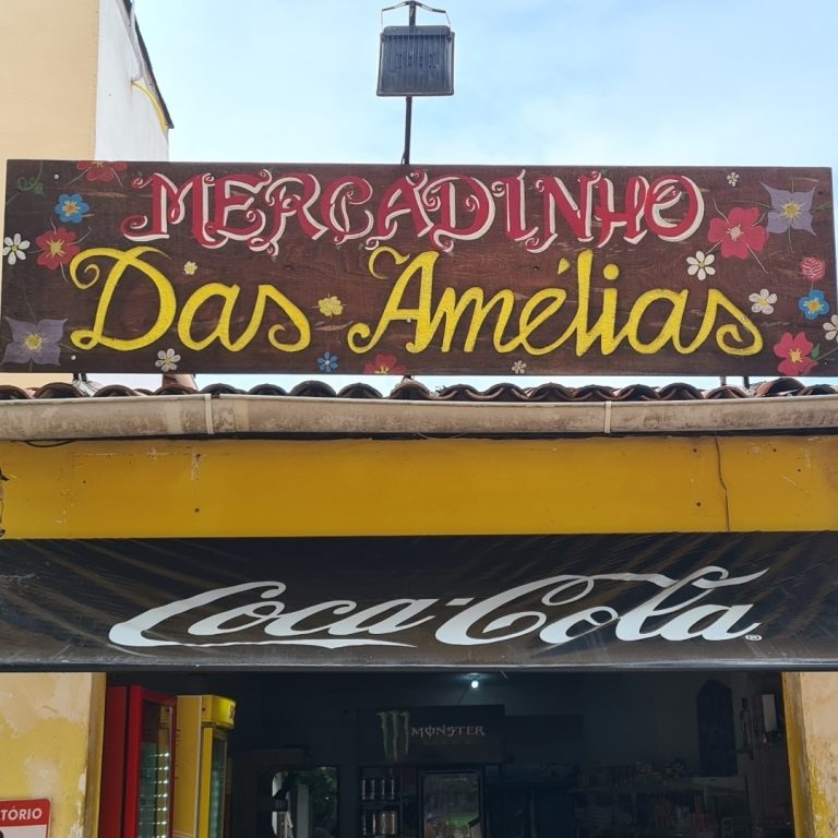 Mercadinho das Amelias 768x768